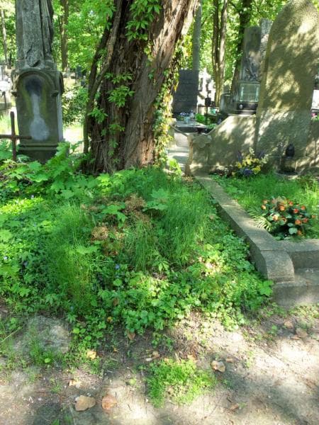Zdjęcie grobu Pole Grobowe (1)