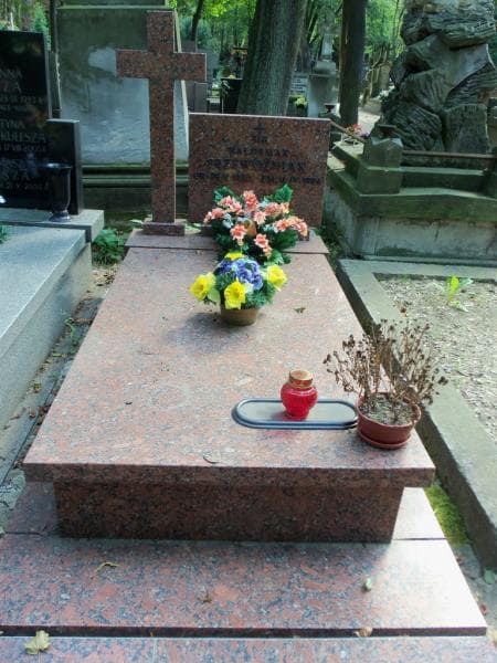 Zdjęcie grobu: Waldemar Przewoźniak