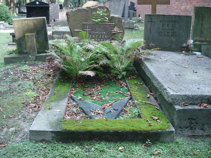 Zdjęcie grobu Stanisław Zaczek (1)