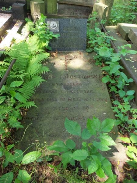 Zdjęcie grobu Mieczysław Brzostowski (2)