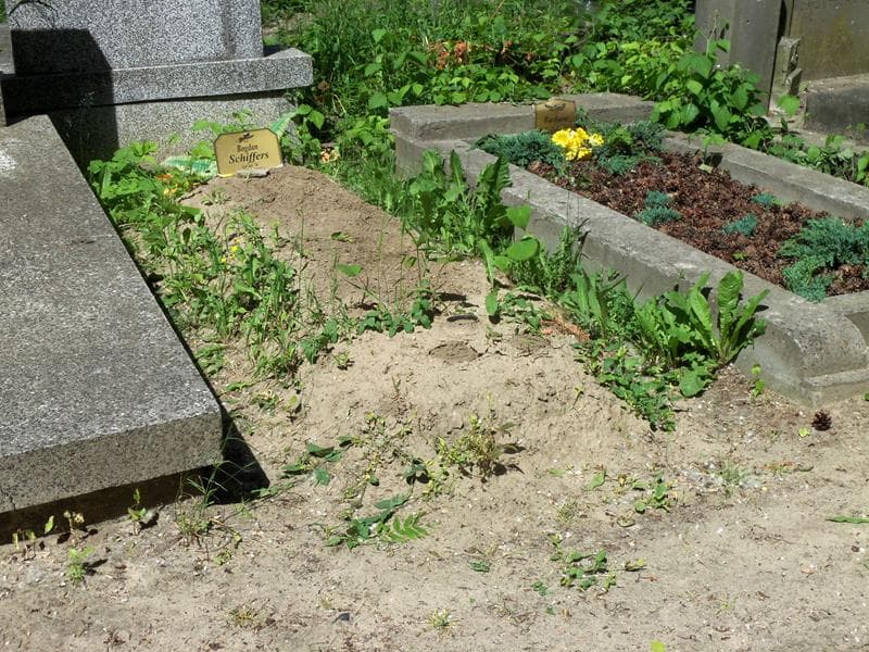 Zdjęcie grobu Anonim (1)