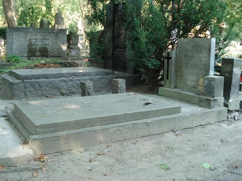 Zdjęcie grobu Jan Grzybowski (1)