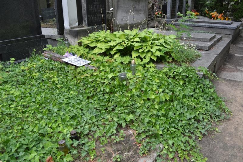 Zdjęcie grobu: Pole Grobowe / Adolf Nicz