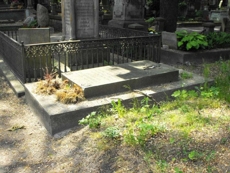Zdjęcie grobu Aleksander Pawłowski (1)