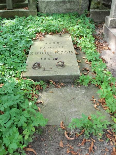 Zdjęcie grobu Zgórscy (1)