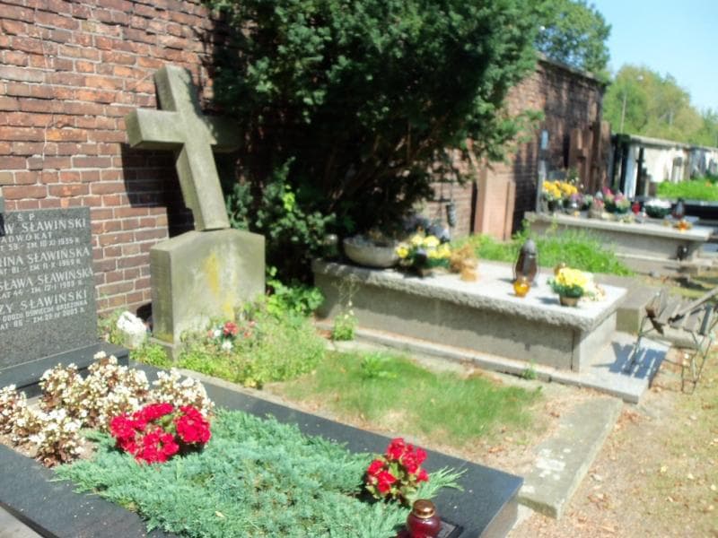 Zdjęcie grobu Helena Lubicz - Gużkowska (1)