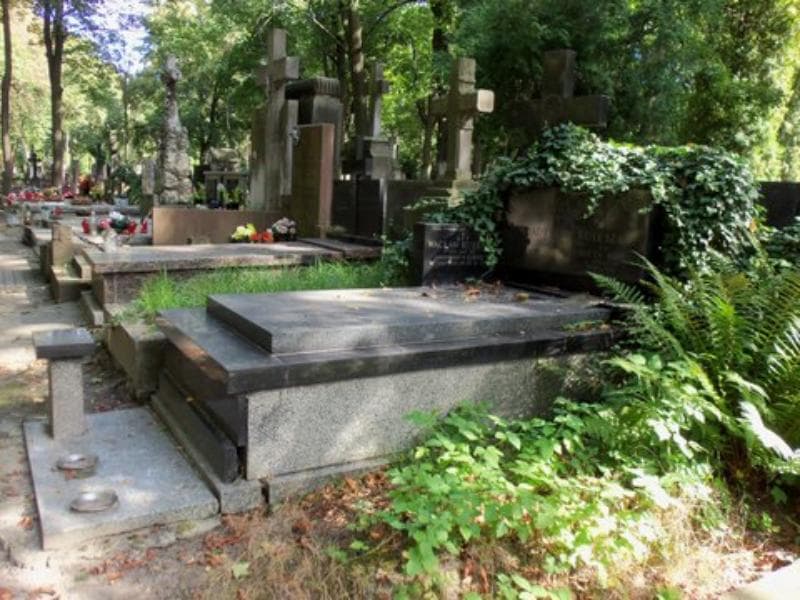 Zdjęcie grobu Jadwiga Kulesza (1)