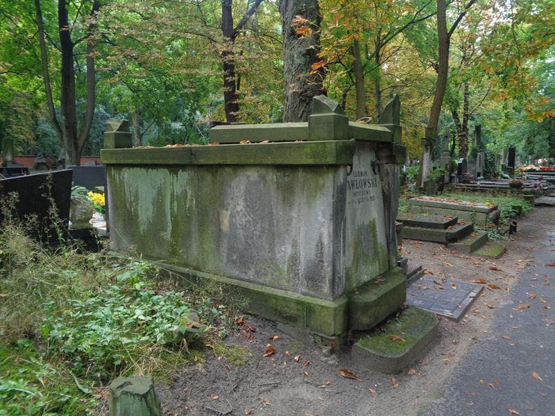 Zdjęcie grobu: Ludwik Pawłowski
