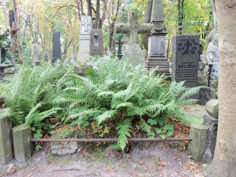 Zdjęcie grobu: Walenty Jakubowski