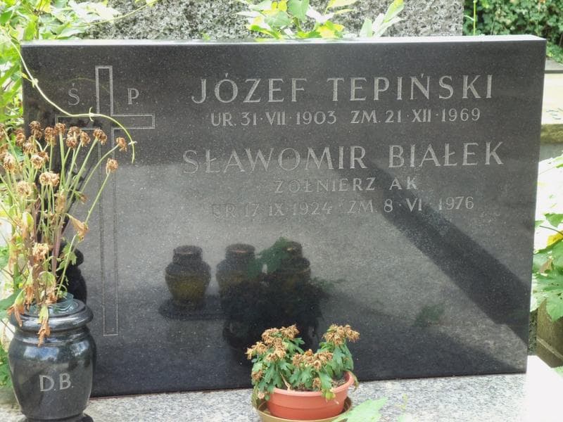 Zdjęcie grobu Józef Tepiński (2)