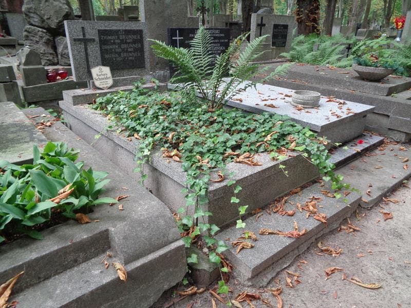 Zdjęcie grobu: Zygmunt Brunner