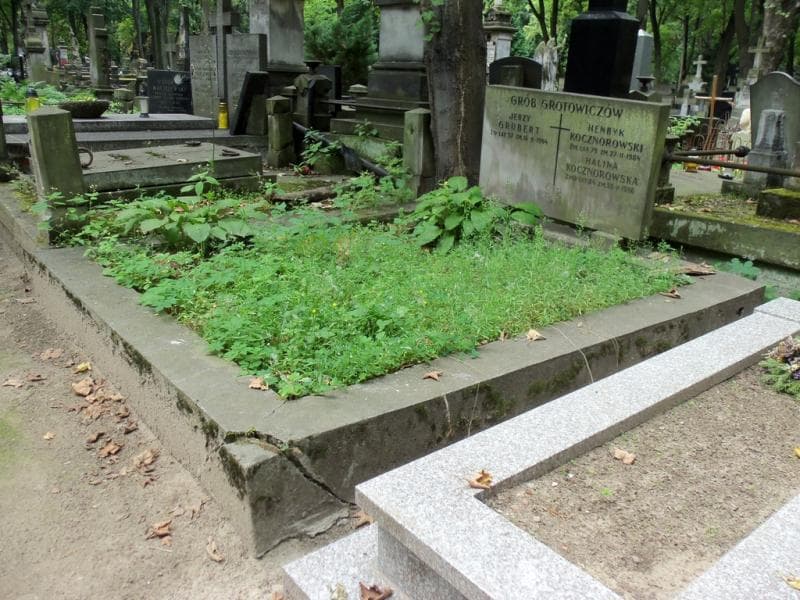 Zdjęcie grobu Halina Kocznorowska (1)