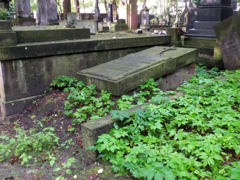 Zdjęcie grobu Idalja Osipowiczowa (1)