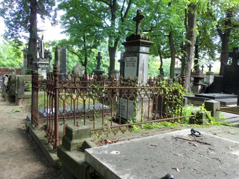 Zdjęcie grobu Edmund Jałowiecki (1)