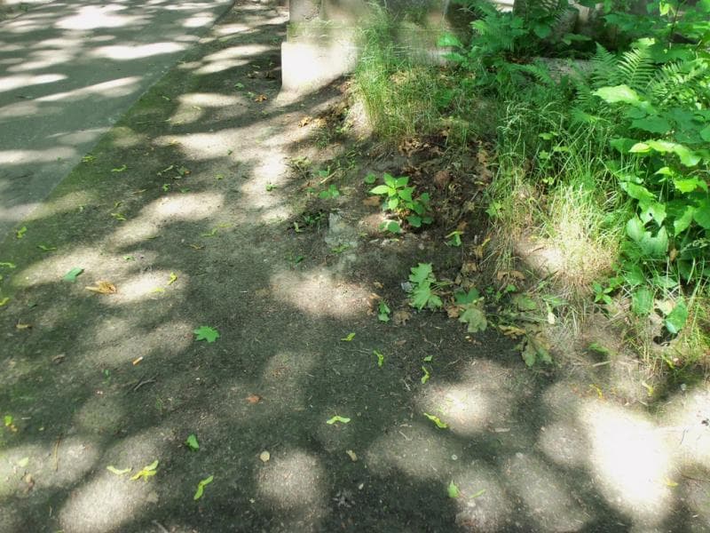 Zdjęcie grobu: Pole Grobowe
