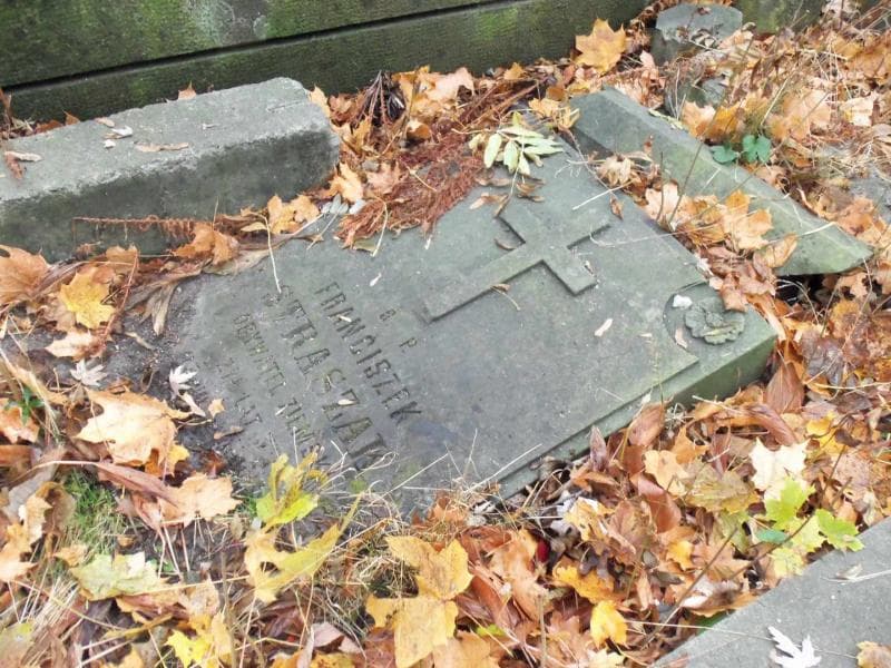Zdjęcie grobu Franciszek Straszak (2)