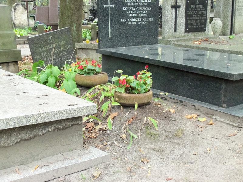 Zdjęcie grobu Władysław Wiktor Von Ziegern-Korn (1)