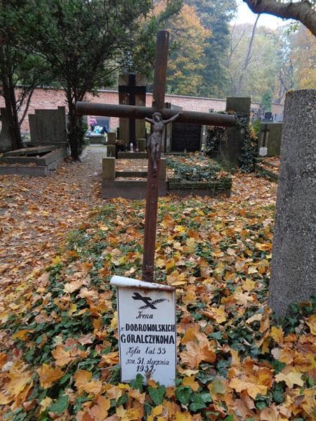 Zdjęcie grobu Irena Góralczykowa (2)