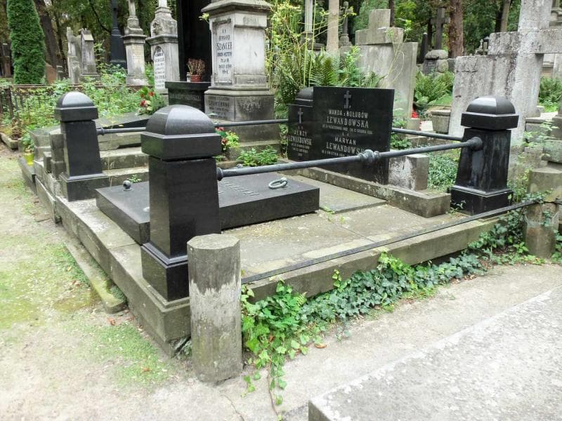 Zdjęcie grobu Wanda Lewandowska (1)