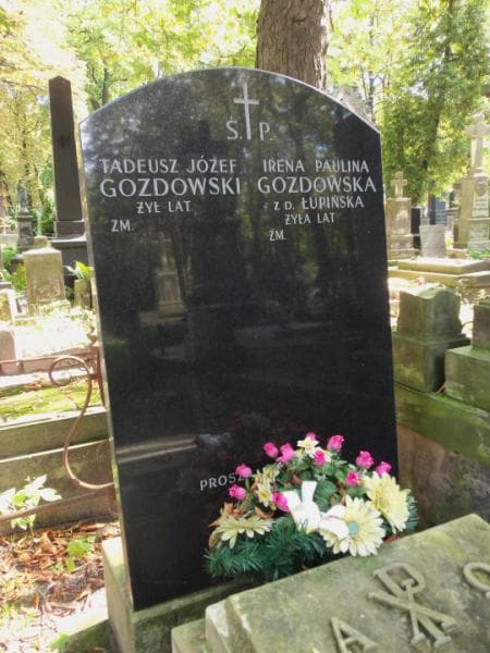 Zdjęcie grobu Franciszek Gozdowski (2)