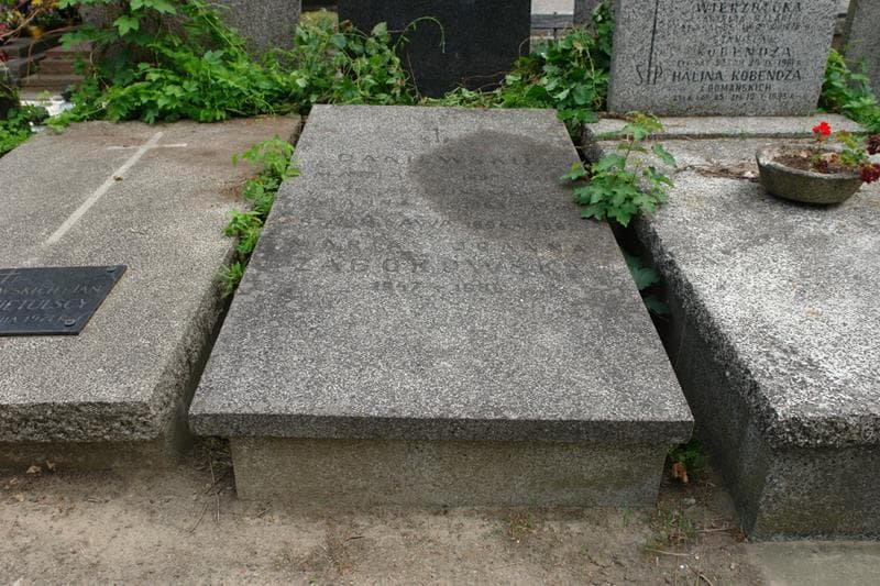 Zdjęcie grobu Stanisława Daniewska (1)
