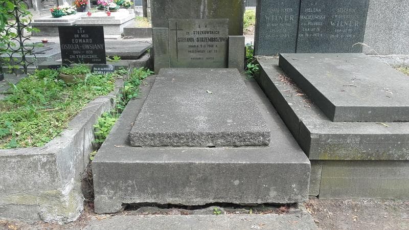 Zdjęcie grobu Stefania Strzemboszowa (1)