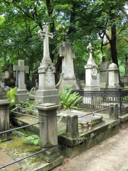 Zdjęcie grobu Józefa Trzcińska (1)