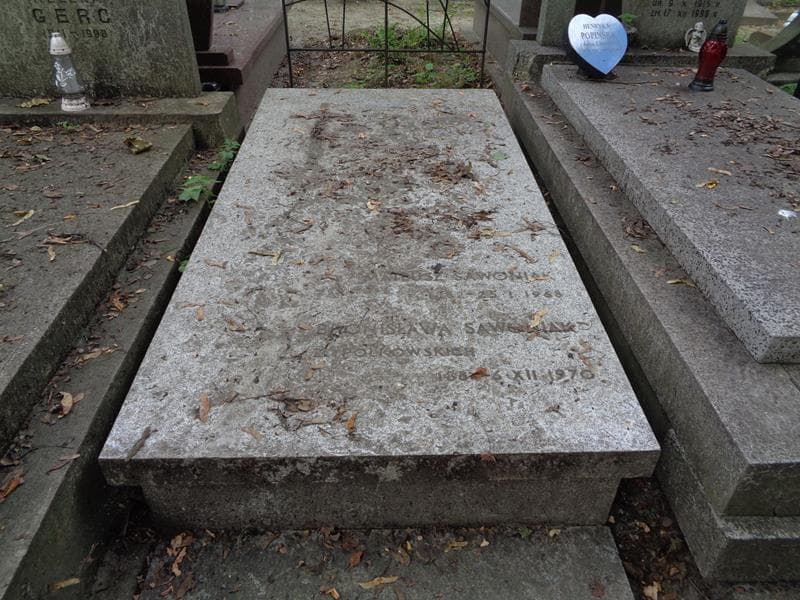 Zdjęcie grobu Bronisława Sawoniak (1)