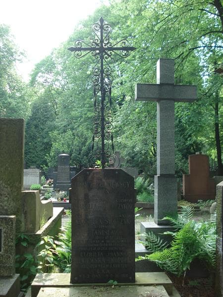 Zdjęcie grobu Barbara Żółkiewska (2)