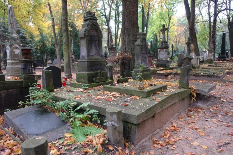 Zdjęcie grobu Ludwiś Chwiałkowski (1)