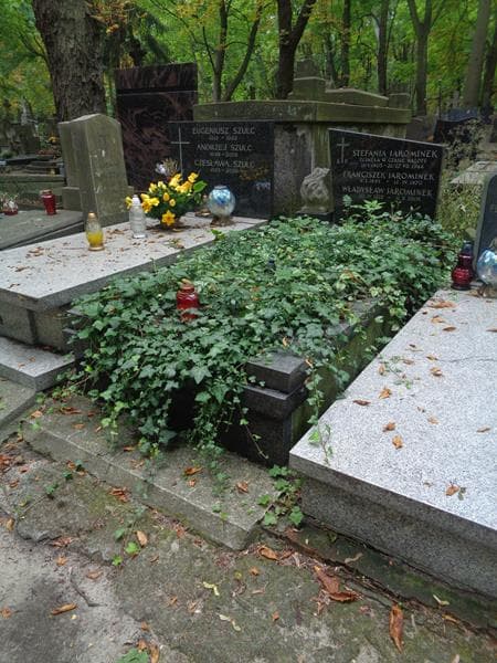 Zdjęcie grobu: Franciszek Jarominek