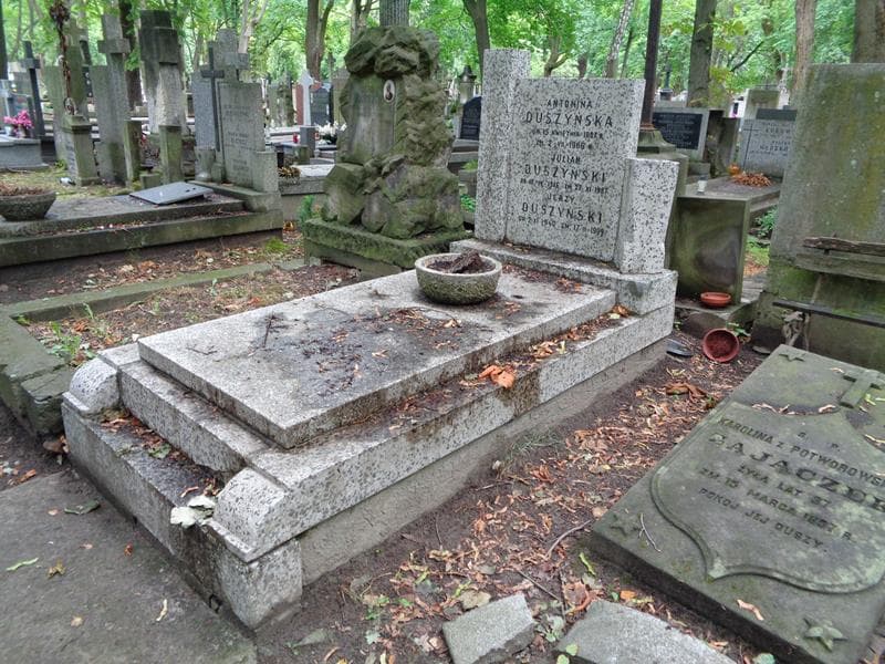 Zdjęcie grobu: Antonina Duszyńska