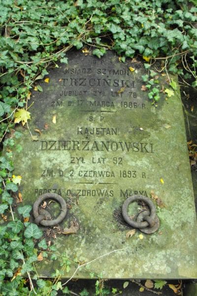 Zdjęcie grobu Szymon Trzciński (2)
