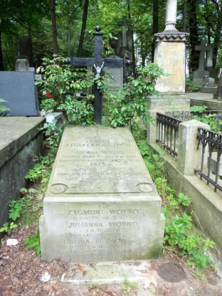 Zdjęcie grobu Julianna Woyno (1)