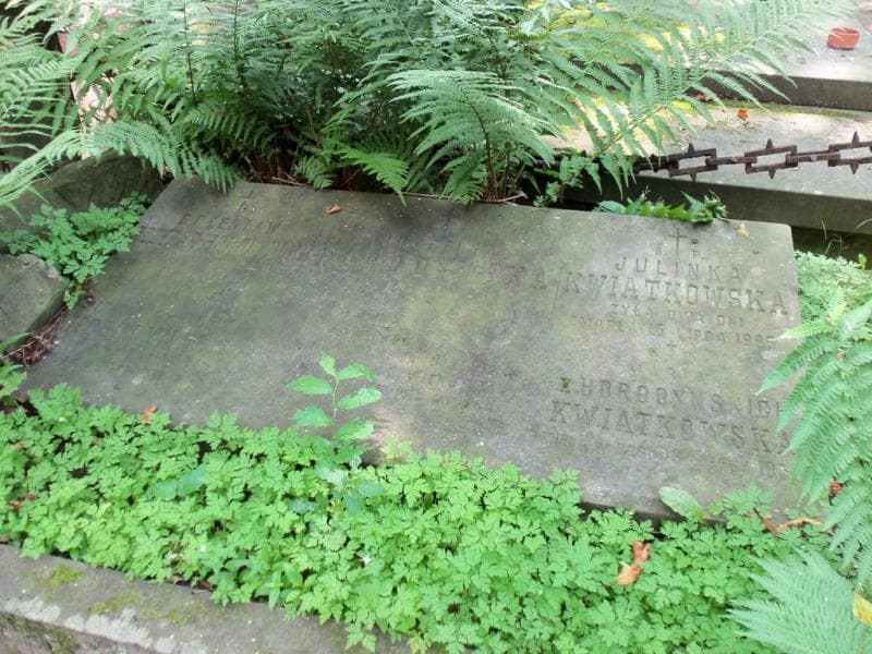 Zdjęcie grobu Józefina Horodyńska (2)