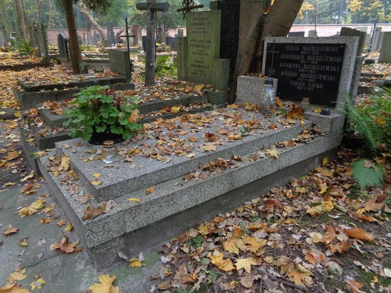 Zdjęcie grobu: Sabina Lipko
