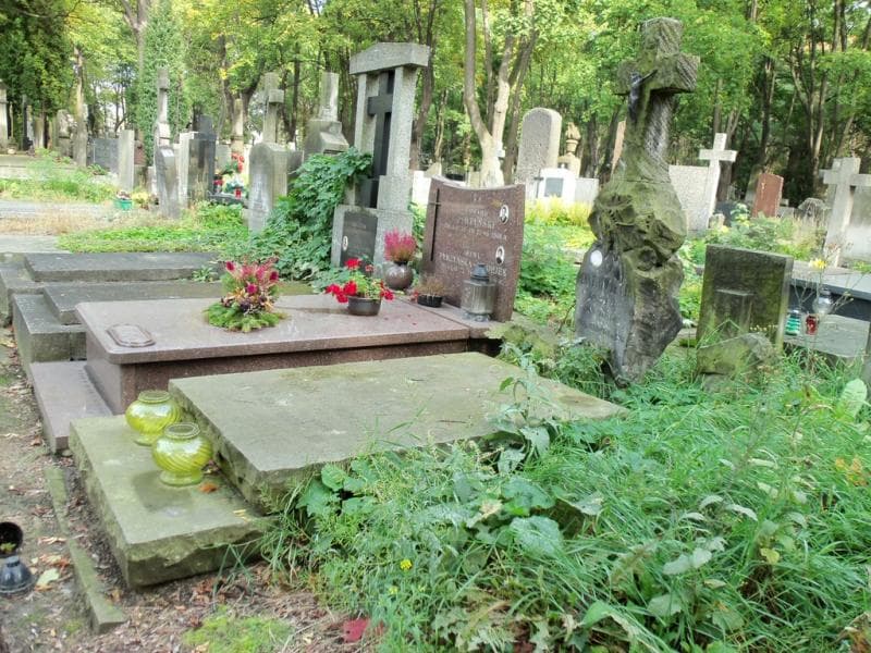 Zdjęcie grobu Eugenia Krzywobłocka (1)