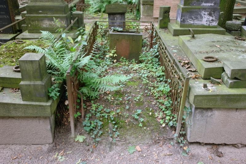 Zdjęcie grobu Luise Kohn (1)