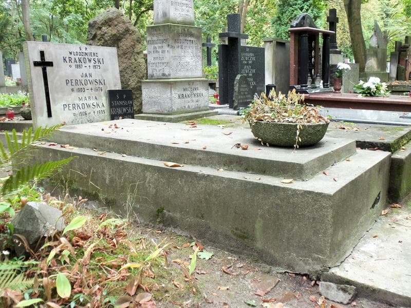 Zdjęcie grobu Jan Perkowski (1)