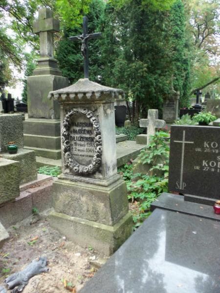 Zdjęcie grobu Władysław Dłużewski (2)