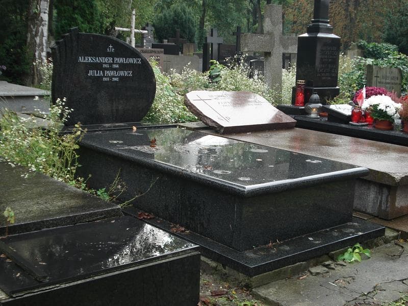 Zdjęcie grobu Julia Pawłowicz (1)