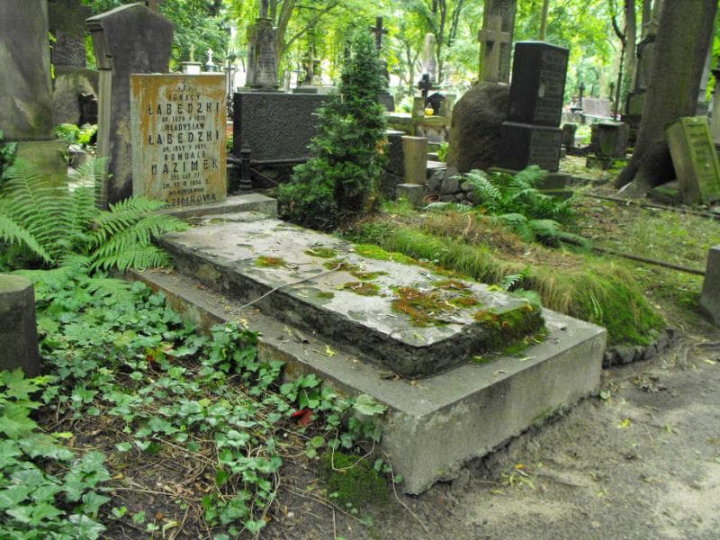 Zdjęcie grobu Romuald Nazimek (1)