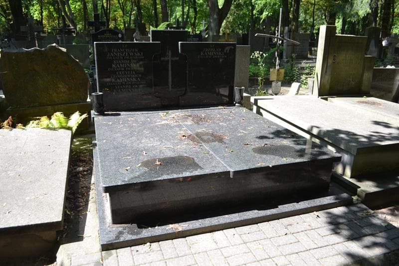 Zdjęcie grobu Franciszek Janiszewski (1)