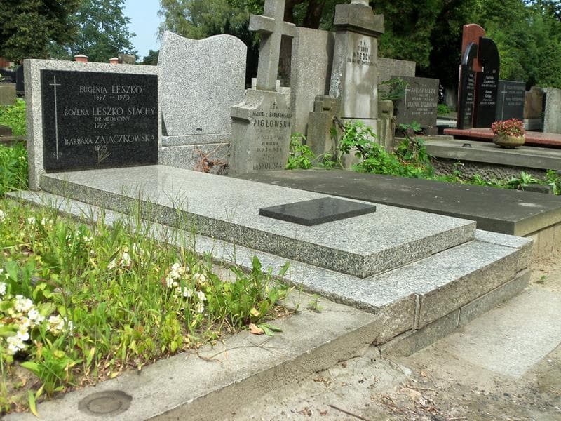 Zdjęcie grobu Eugenia Leszko (1)