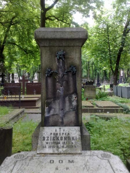 Zdjęcie grobu Józef Dziekoński (1)