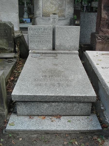 Zdjęcie grobu Zygmunt Biske (1)
