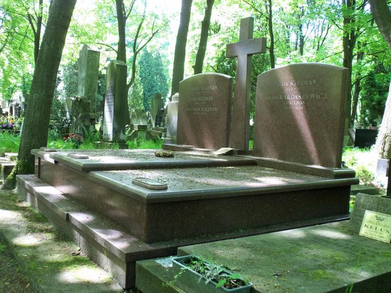Zdjęcie grobu Mieczysław Szejman (1)