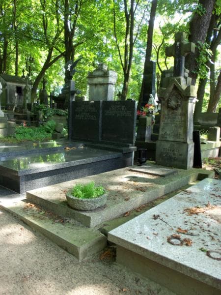 Zdjęcie grobu Józefa Borowicz (1)