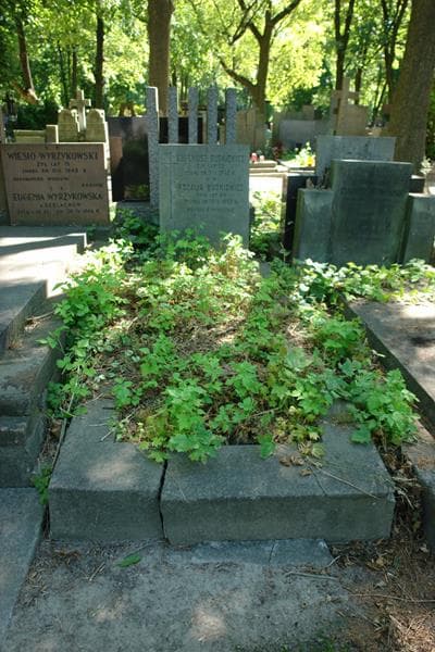 Zdjęcie grobu Eugeniusz Budkiewicz (1)