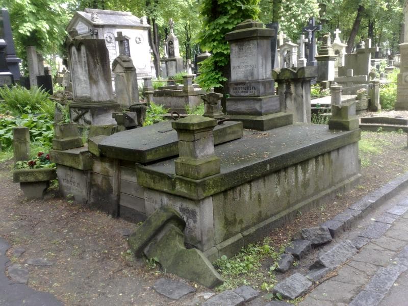 Zdjęcie grobu Zofja Kozłowska (1)